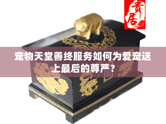 宠物天堂善终服务如何为爱宠送上最后的尊严？