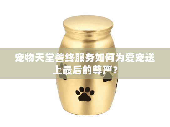 宠物天堂善终服务如何为爱宠送上最后的尊严？