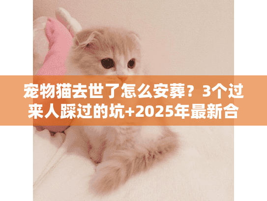 宠物猫去世了怎么安葬？3个过来人踩过的坑+2025年最新合规服务指南