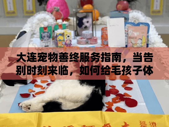 大连宠物善终服务指南，当告别时刻来临，如何给毛孩子体面送别？