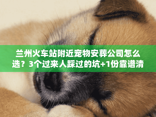 兰州火车站附近宠物安葬公司怎么选？3个过来人踩过的坑+1份靠谱清单