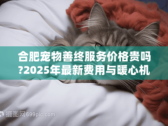 合肥宠物善终服务价格贵吗?2025年最新费用与暖心机构推荐