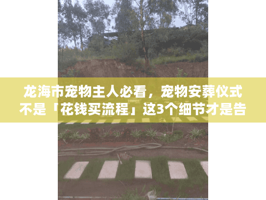 龙海市宠物主人必看，宠物安葬仪式不是「花钱买流程」这3个细节才是告别最该在意的
