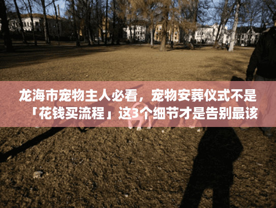 龙海市宠物主人必看，宠物安葬仪式不是「花钱买流程」这3个细节才是告别最该在意的