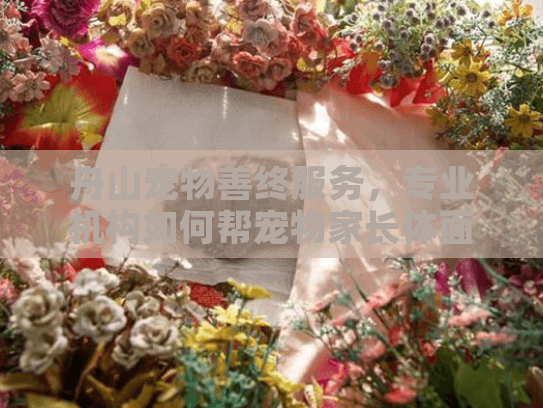 舟山宠物善终服务，专业机构如何帮宠物家长体面告别爱宠?