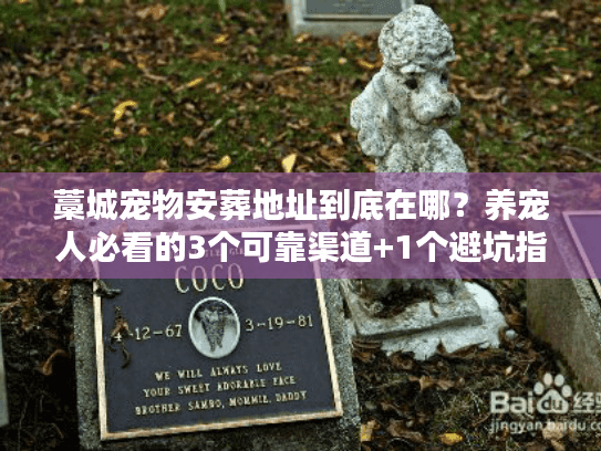 藁城宠物安葬地址到底在哪？养宠人必看的3个可靠渠道+1个避坑指南