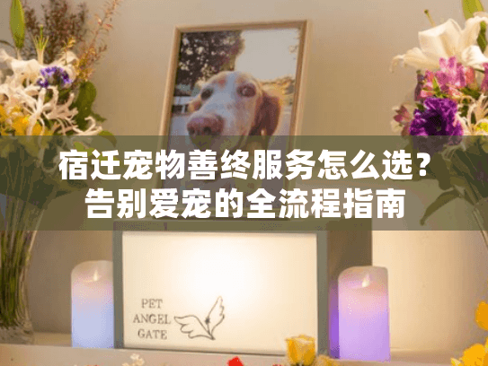 宿迁宠物善终服务怎么选？告别爱宠的全流程指南
