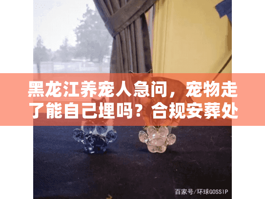 黑龙江养宠人急问,宠物走了能自己埋吗?合规安葬处理办法全梳理 黑龙江养宠人急问,宠物走了能自己埋吗?合规安葬处理办法全梳理