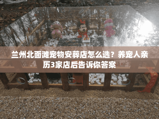 兰州北面滩宠物安葬店怎么选？养宠人亲历3家店后告诉你答案