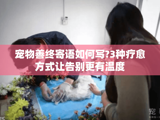 宠物善终寄语如何写?3种疗愈方式让告别更有温度
