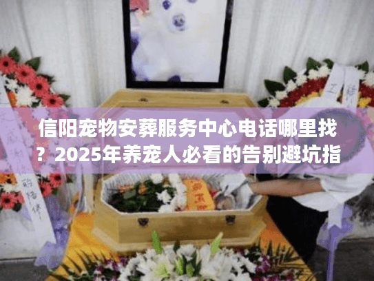 信阳宠物安葬服务中心电话哪里找？2025年养宠人必看的告别避坑指南