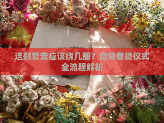 送别爱宠应该绕几圈？宠物善终仪式全流程解析