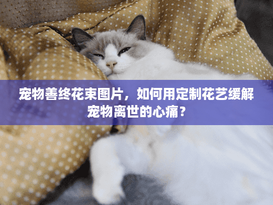 宠物善终花束图片，如何用定制花艺缓解宠物离世的心痛？