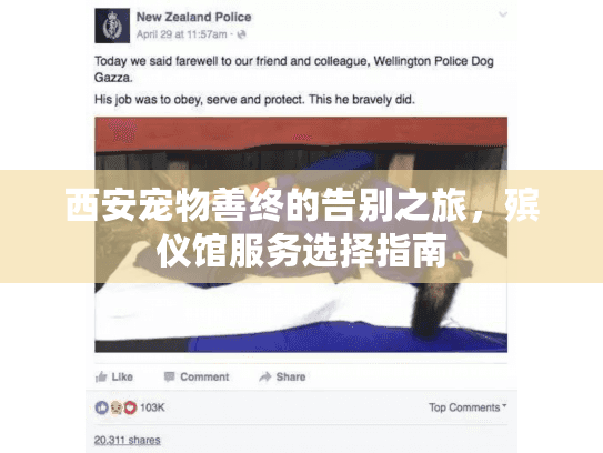 西安宠物善终的告别之旅，殡仪馆服务选择指南