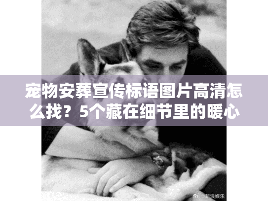 宠物安葬宣传标语图片高清怎么找？5个藏在细节里的暖心真相帮你选对服务