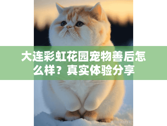 大连彩虹花园宠物善后怎么样？真实体验分享