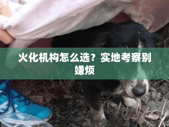 火化机构怎么选？实地考察别嫌烦
