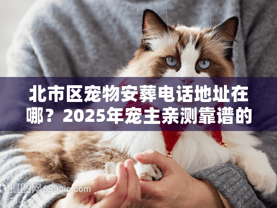 北市区宠物安葬电话地址在哪？2025年宠主亲测靠谱的3家机构全梳理