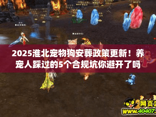 2025淮北宠物狗安葬政策更新！养宠人踩过的5个合规坑你避开了吗？