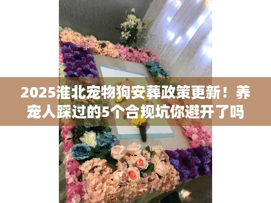 2025淮北宠物狗安葬政策更新！养宠人踩过的5个合规坑你避开了吗？
