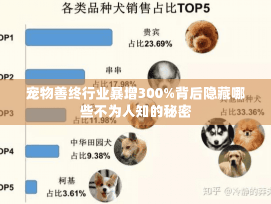 宠物善终行业暴增300%背后隐藏哪些不为人知的秘密