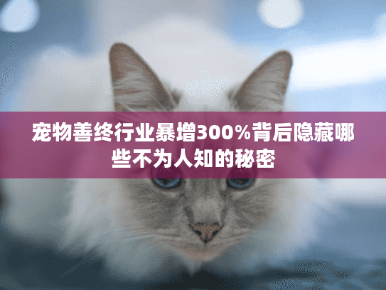 宠物善终行业暴增300%背后隐藏哪些不为人知的秘密
