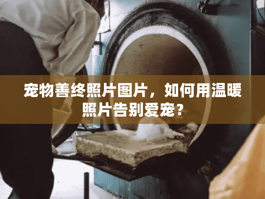 宠物善终照片图片，如何用温暖照片告别爱宠？