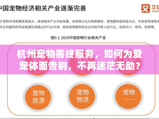 杭州宠物善终服务，如何为爱宠体面告别，不再迷茫无助？