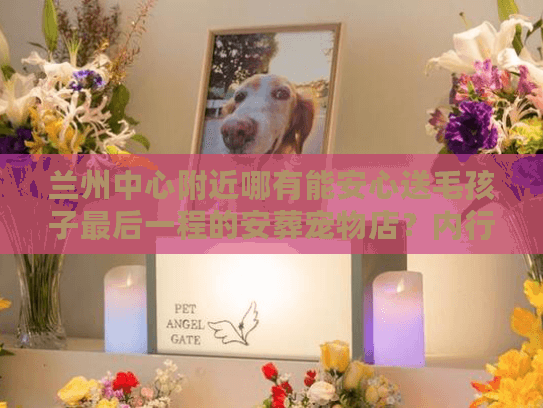 兰州中心附近哪有能安心送毛孩子最后一程的安葬宠物店？内行人带你避坑