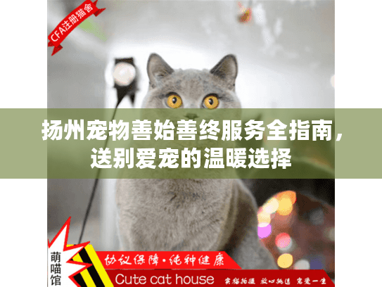 扬州宠物善始善终服务全指南，送别爱宠的温暖选择
