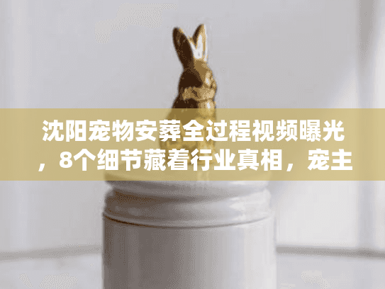 沈阳宠物安葬全过程视频曝光，8个细节藏着行业真相，宠主看完哭着收藏