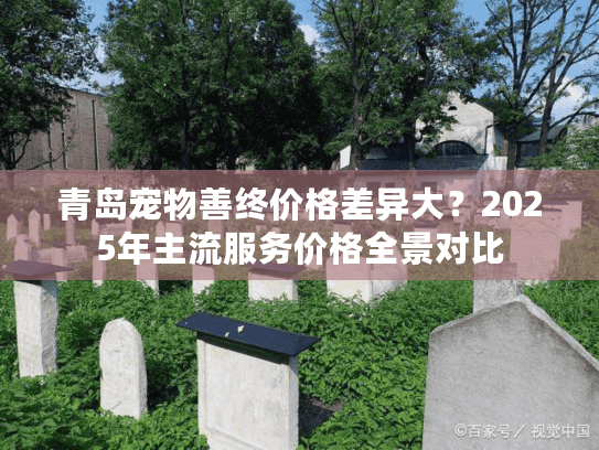 青岛宠物善终价格差异大？2025年主流服务价格全景对比