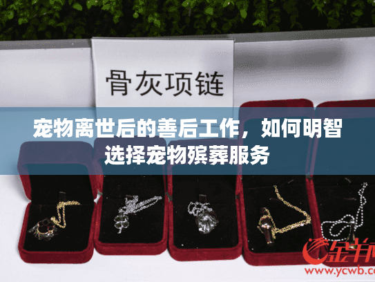 宠物离世后的善后工作，如何明智选择宠物殡葬服务