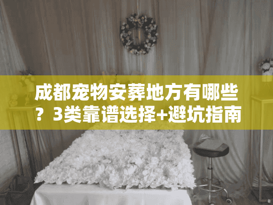成都宠物安葬地方有哪些？3类靠谱选择+避坑指南帮你少走弯路