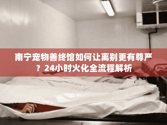 南宁宠物善终馆如何让离别更有尊严？24小时火化全流程解析