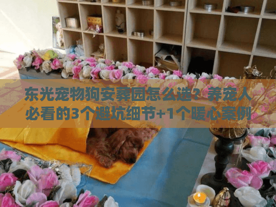 东光宠物狗安葬园怎么选？养宠人必看的3个避坑细节+1个暖心案例