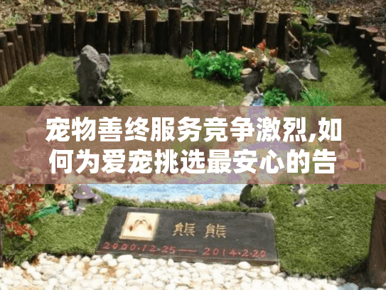 宠物善终服务竞争激烈,如何为爱宠挑选最安心的告别?