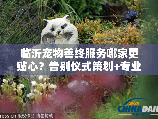 临沂宠物善终服务哪家更贴心？告别仪式策划+专业火化全程指南