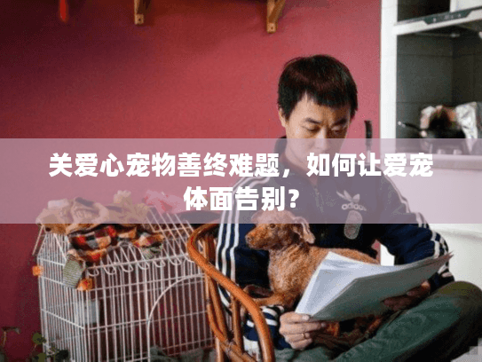 关爱心宠物善终难题，如何让爱宠体面告别？