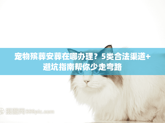 宠物殡葬安葬在哪办理？5类合法渠道+避坑指南帮你少走弯路