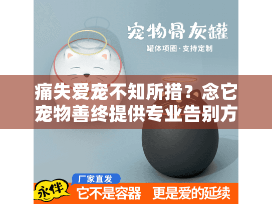 痛失爱宠不知所措？念它宠物善终提供专业告别方案