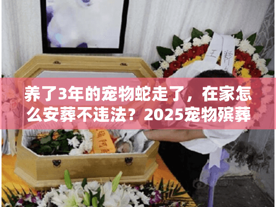 养了3年的宠物蛇走了,在家怎么安葬不违法?2025宠物殡葬服务帮你解难题 养了3年的宠物蛇走了,在家怎么安葬不违法?2025宠物殡葬服务帮你解难题