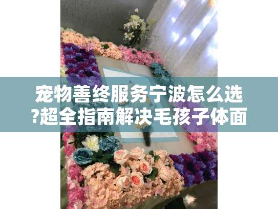宠物善终服务宁波怎么选?超全指南解决毛孩子体面告别的难题