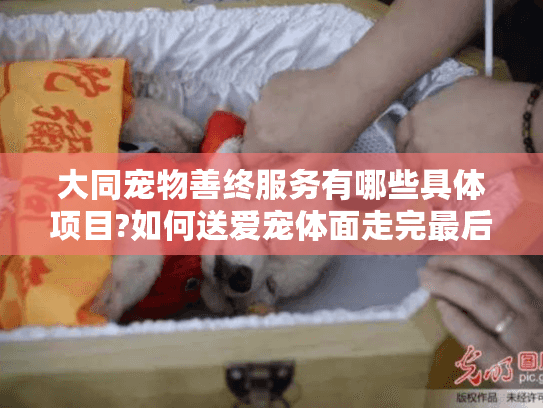 大同宠物善终服务有哪些具体项目?如何送爱宠体面走完最后一程?