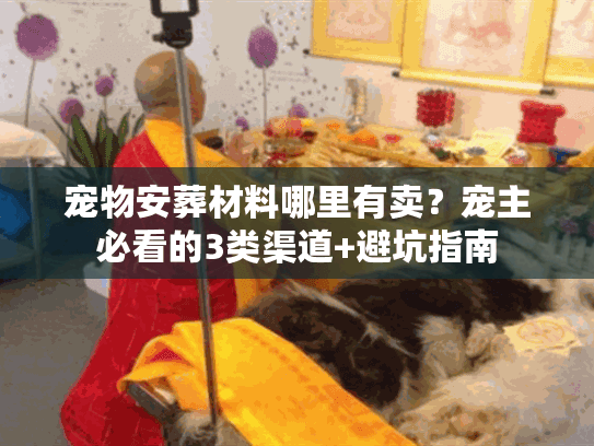 宠物安葬材料哪里有卖？宠主必看的3类渠道+避坑指南