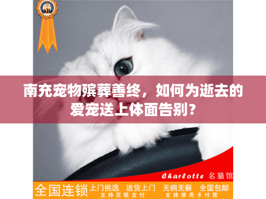 南充宠物殡葬善终，如何为逝去的爱宠送上体面告别？