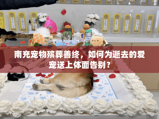 南充宠物殡葬善终，如何为逝去的爱宠送上体面告别？