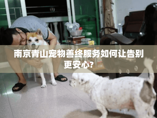 南京青山宠物善终服务如何让告别更安心?
