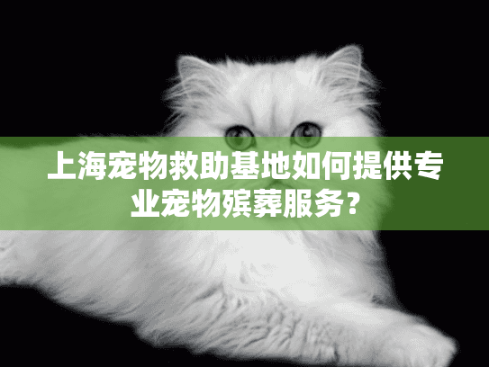 上海宠物救助基地如何提供专业宠物殡葬服务？