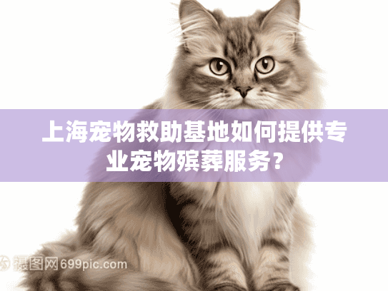 上海宠物救助基地如何提供专业宠物殡葬服务？